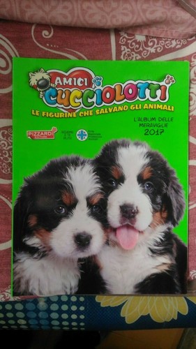 Album figurine amici - album,