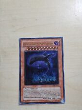 IMMORTALE TERRESTRE CHACU