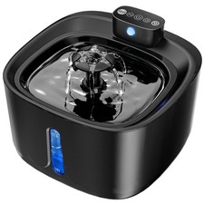 Fontanella per Gatti senza