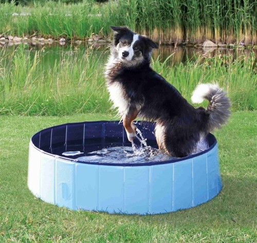 Piscina per cani trixie - piscina, ×