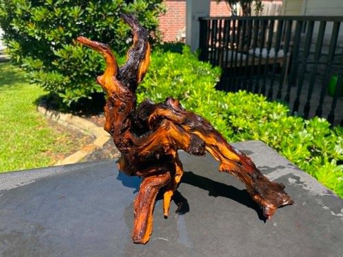 Driftwood mopani acquari pesci - mopani,