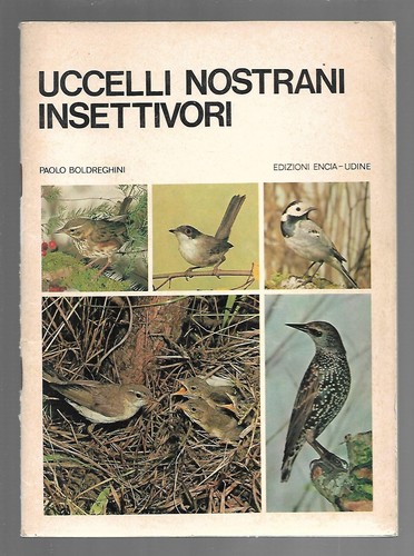 Uccelli nostrani insettivori - nostrani,