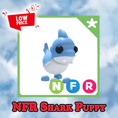Cucciolo squalo nfr - nfr,