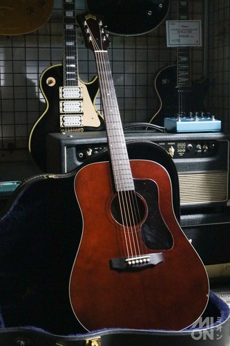 Guild d25m 1979 - d25m, chitarra
