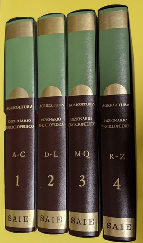 Dizionario enciclopedico - dizionario,