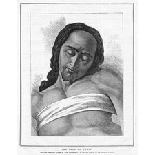 MICHELANGELO La testa di