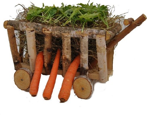 Xxl legno naturale betulla - xxl,