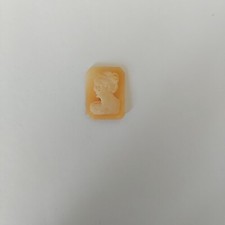 Cammei Camei Cameo Conchiglia