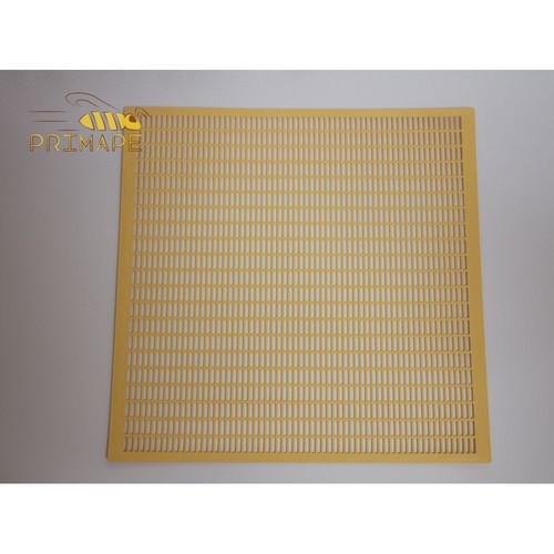 Escludiregina plastica da - in,