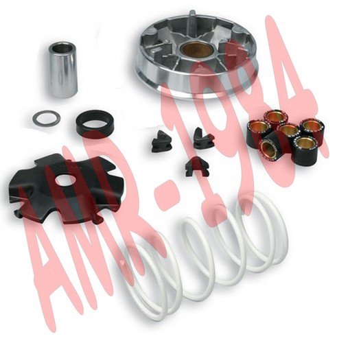 Variatore malossi multivar - variatore,