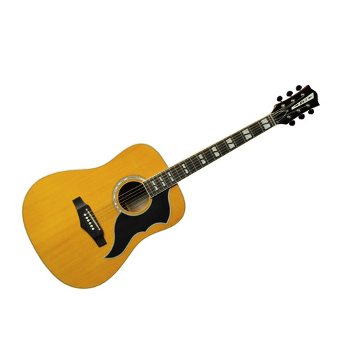 Eko ranger chitarra - vi, vr