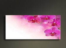 Stampa con Fiori - Stile