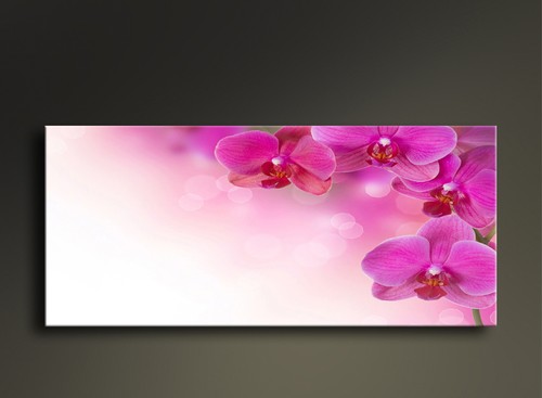 Stampa con fiori stile - -,