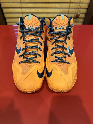 Scarpe basket nike - scarpe, lebron