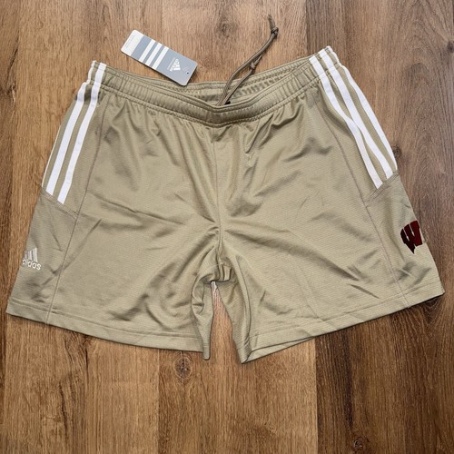 Pantaloncini palestra - pantaloncini,