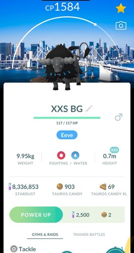 Xxs non shiny paldean aqua - xxs,