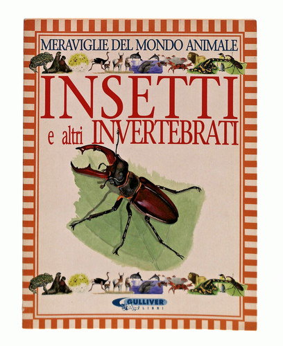 Ebond insetti altri - ebond,