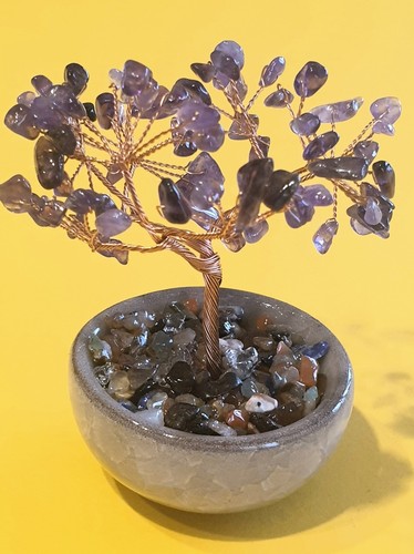 Minerale albero della - minerale***albero,