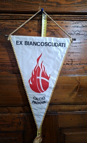 Gagliardetto padova calcio - padova,