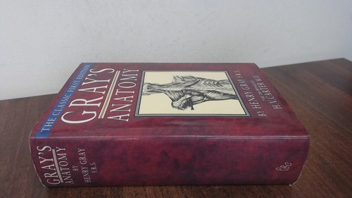 Gray anatomy the classic - gray's,
