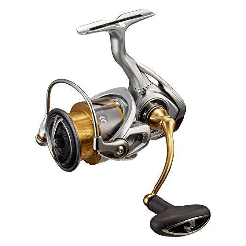 Daiwa spinning reel 21 - (daiwa),