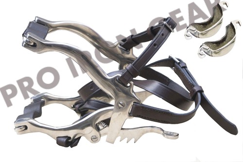Speculum dentale equitazione