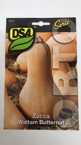 Semi sementi zucca - semi,