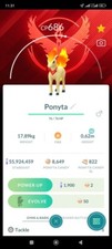 Ponyta Candela Non Lucida