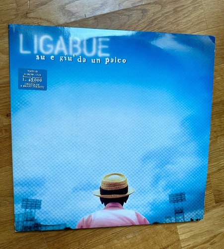 Ligabue giu dal palco - -,