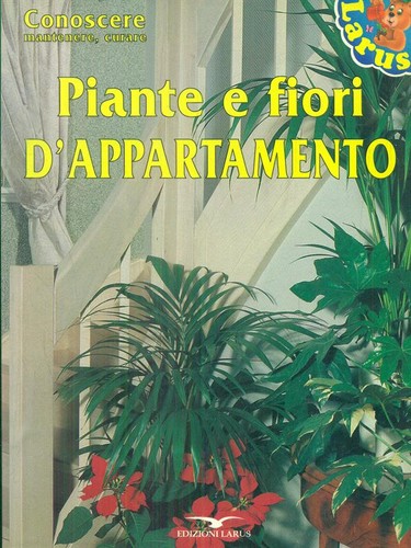 Piante fiori appartamento - piante,
