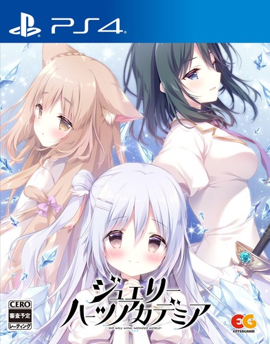 Ps4 videogioco - (giappone),