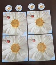 4 TOVAGLIETTE ALL'AMERICANA E SOTTOBICCHIERI IN PLASTICA MIS.32X32 cm