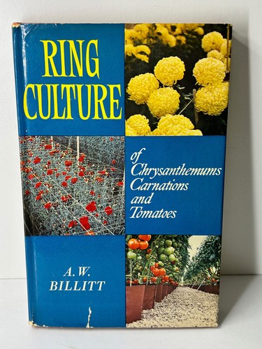 Vintage 1964 ring - 1964,