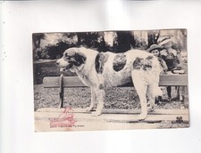 F5225) Cartolina, CANE - cane su panchina bambini sullo sfondo 1906