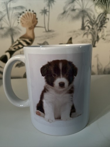 Tazza cucciolo border collie - cucciolo,