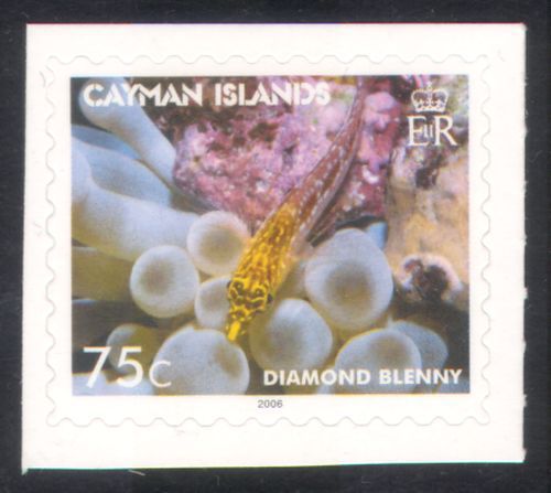 Isole cayman 2006 - isole,
