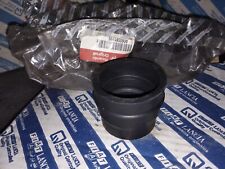 MANICOTTO COLLETTORE