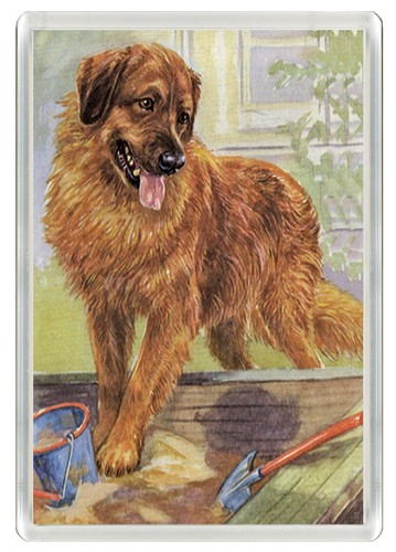 Leonberger dog fridge - dog,