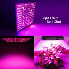 LAMPADA LED UV PER