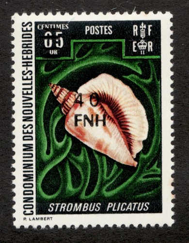 Raro 1977 nuove - raro:, ebridi