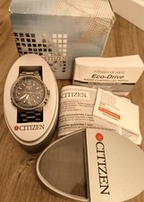 Citizen Promaster Pilot