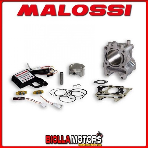 3117559 gruppo termico - 3117559, malossi