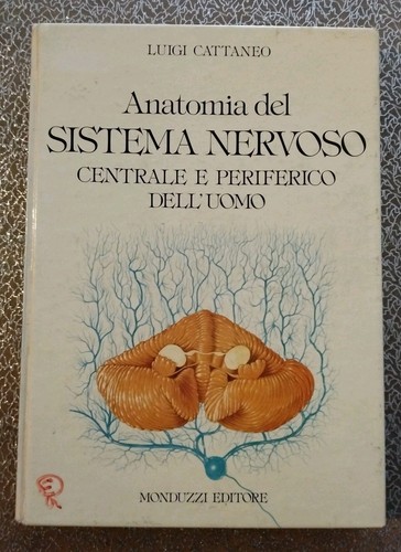 Anatomia del sistema - sistema, nervoso