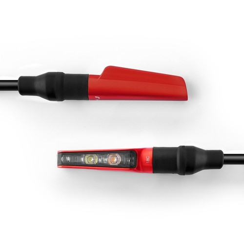 Rizoma corsa rosso - rizoma,