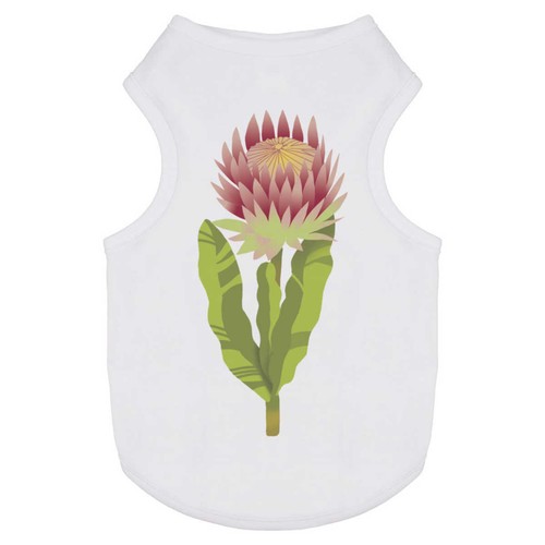 Protea exotic flower - exotic, flower'