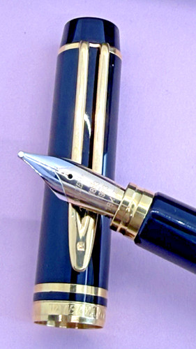 Penna stilografica waterman - waterman, le