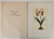 PIANTE E ANIMALI nell'opera di