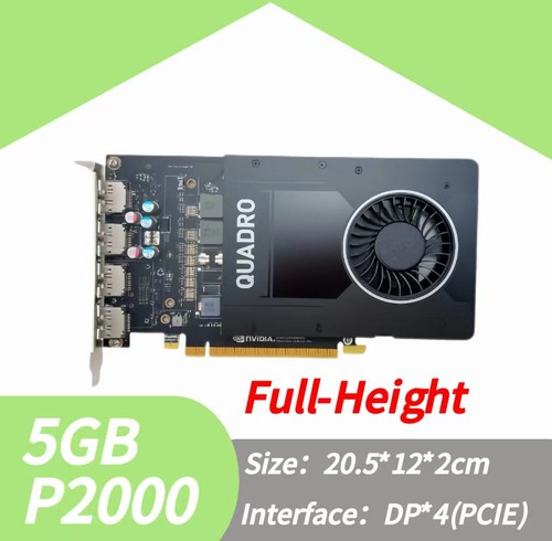 Scheda grafica nvidia p2000 - grafica,