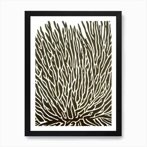 Stampa artistica acropora - stampa,