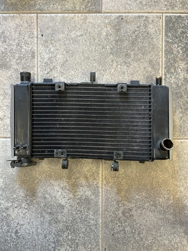 Radiatore yamaha fz6s1 - radiatore,